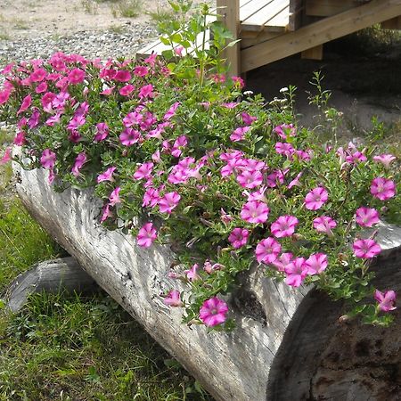 Aneen Loma Vacation&Cottages Posio Buitenkant foto