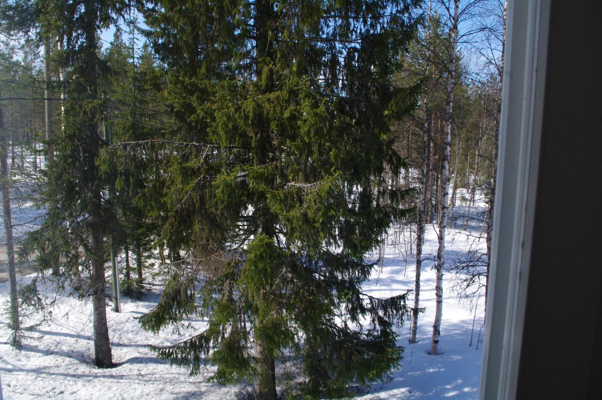 Aneen Loma Vacation&Cottages Posio Buitenkant foto